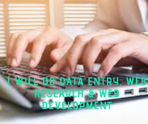 I will do Data entry, web research & Web Development_1574324822.png